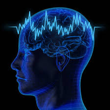 ANTICIPAZIONE DELL’INTERVISTA AL NEUROLOGO E GERIATRA PROF.GIUSEPPE MASCOLO che sarà pubblicata su INFO FAP Firenze