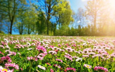 20 MARZO. INIZIA LA PRIMAVERA (ma non era il 21?)  e si tiene la Settimana del Fiorentino