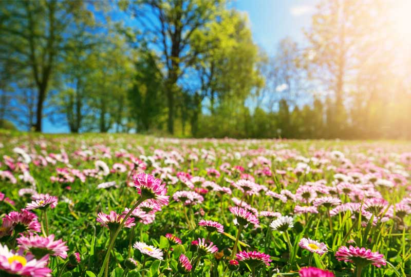 20 MARZO. INIZIA LA PRIMAVERA (ma non era il 21?)  e si tiene la Settimana del Fiorentino